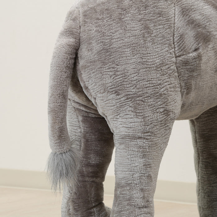 ゾウ
