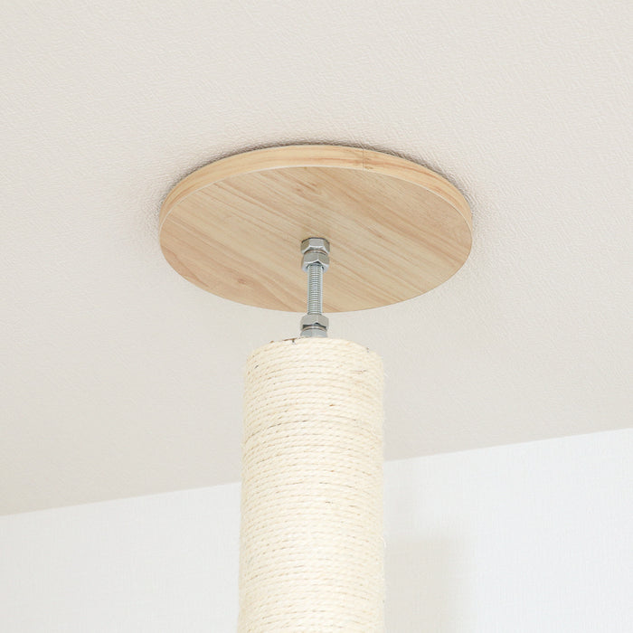 ねこの休ら木　ソラ