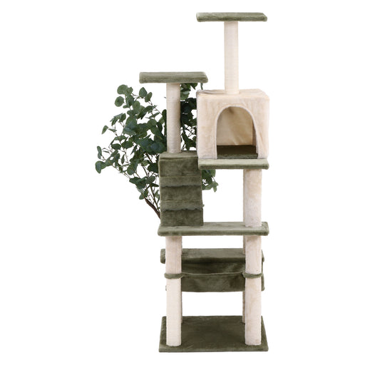 ねこの休ら木　レオ