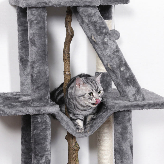 ねこの休ら木　マロン