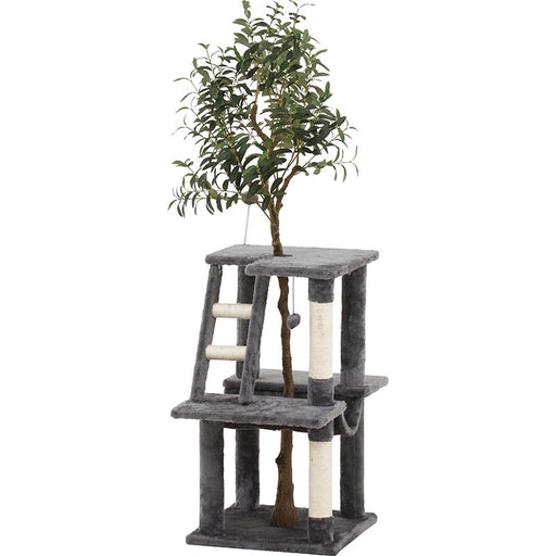 ねこの休ら木　マロン