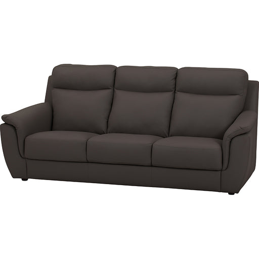 ダークブラウン