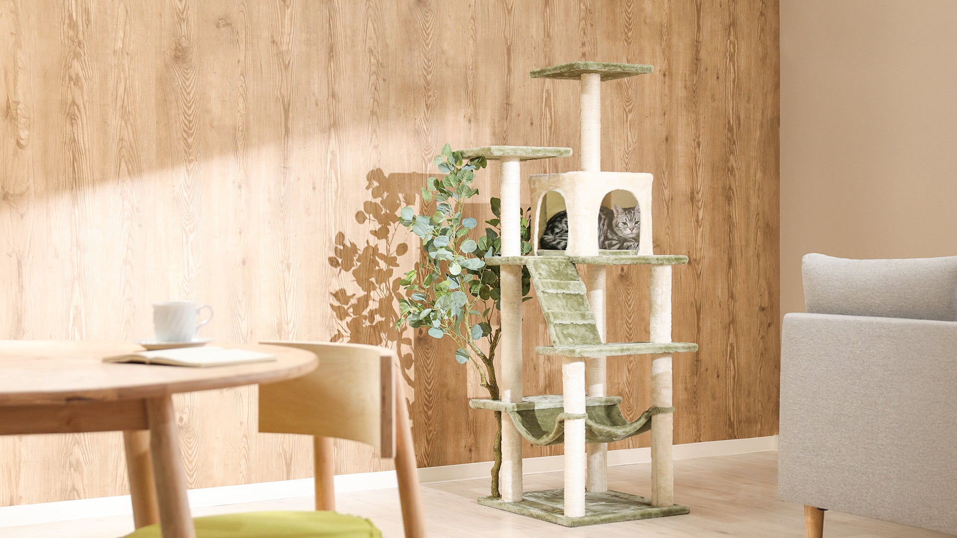 ねこと私のくつろぎ空間 